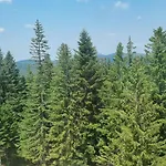 Apartment 505 - Zlatni Javor