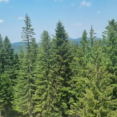 דירה 505 - Zlatni Javor