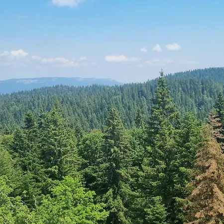 505 - Zlatni Javor Appartement *